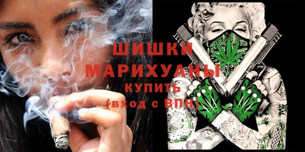 ECSTASY Дмитриев