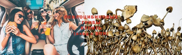 прущие крисы Арсеньев