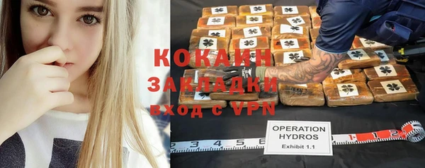 прущие крисы Арсеньев
