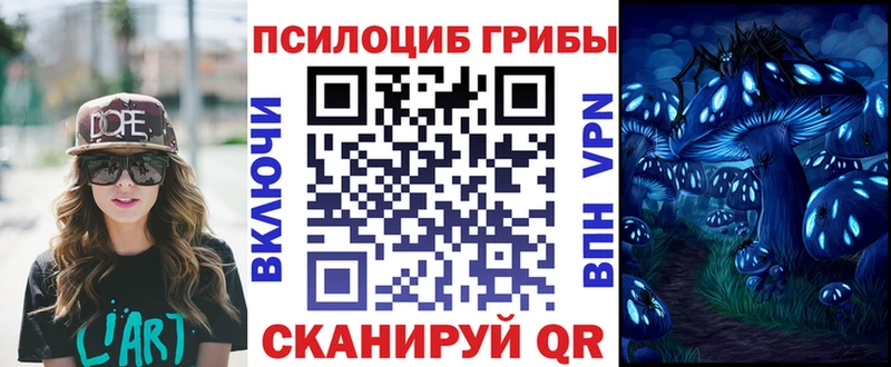 Галлюциногенные грибы прущие грибы  мега ТОР  Новый Оскол 