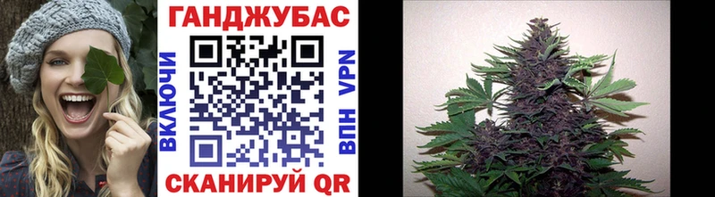 OMG ССЫЛКА Новый Оскол Шишки марихуана White Widow